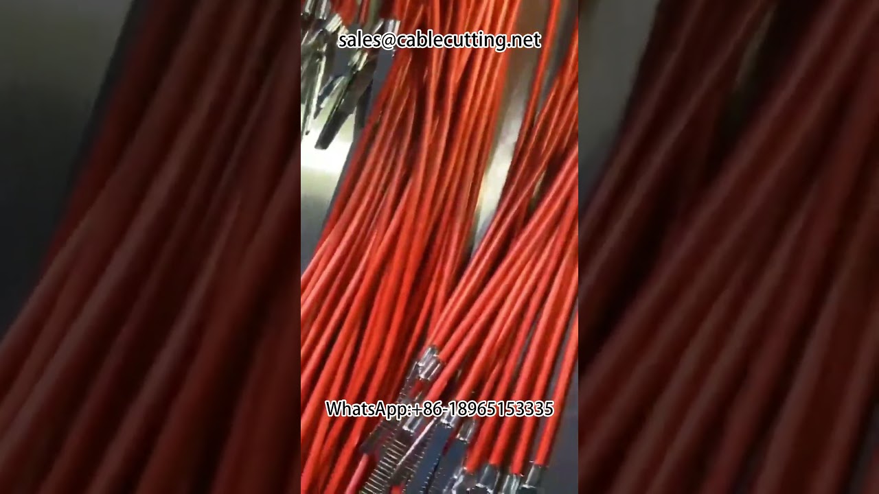 Automatische dubbelkoppen kabelstripmachine voor waterdichte stekkers - Terminal machine