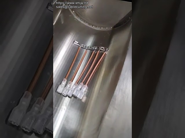 Automatische Crimp- en Terminalhulsinsertiemachine voor Kabelbomen