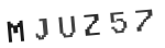 Verification Code Image